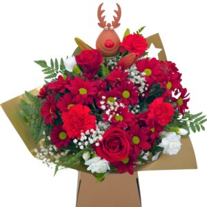 Homeland Florists Rudolph the Reindeer Christmas Fresh Flower bouquet Gift Wrapped in Presentation Vase and Handwritten Xmas Card