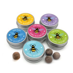 SEEDBALL ‘Save The Bees’ Wildflower Seed Bombs (Pack of 6
