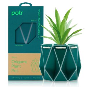 POTR Flower Pot Gift (15cm