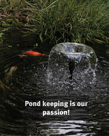Blagdon Affinity View Octagon Living Water Feature Patio Pool Pond, with Inpond 5-in-1 2000 Filte...