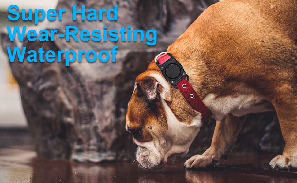 REDEFINE DOG COLLAR AIRTAG HOLDER