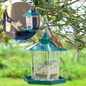bird feeder resting on books