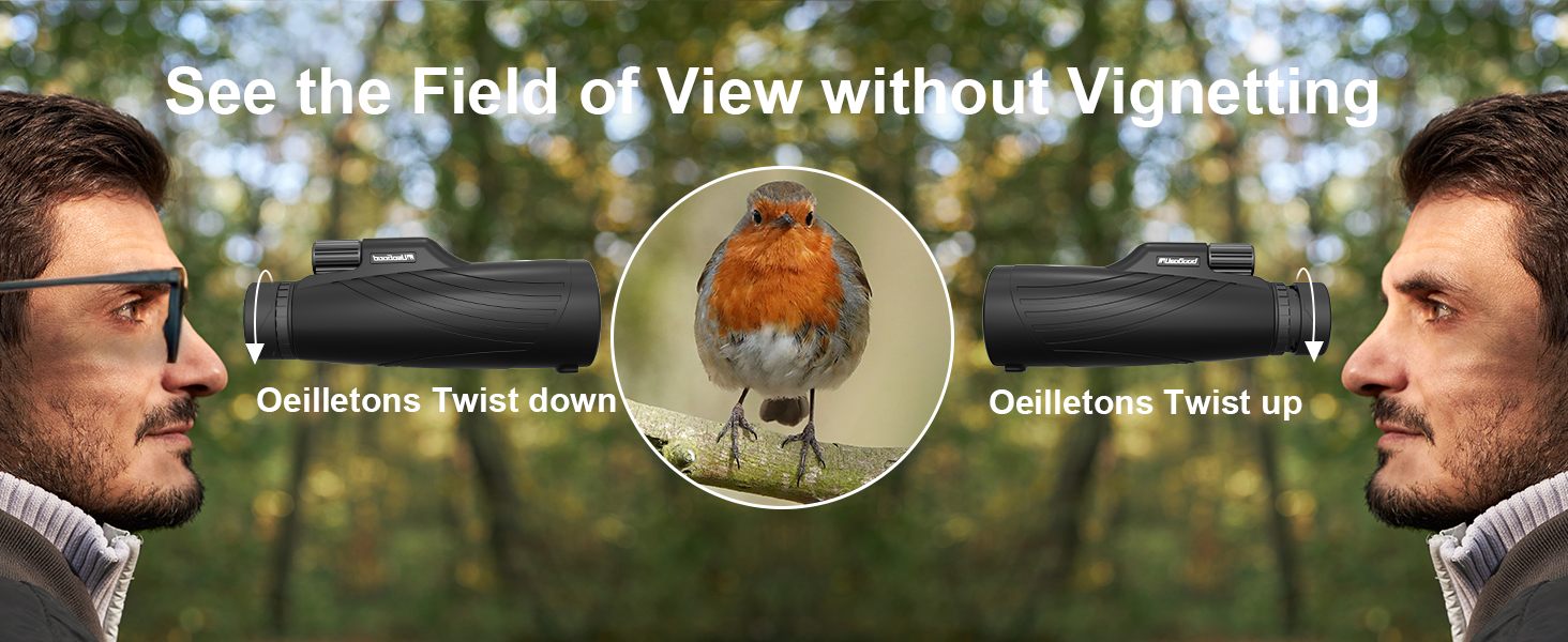See the Field of View without Vignetting
