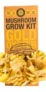 Gold Mushroom kit