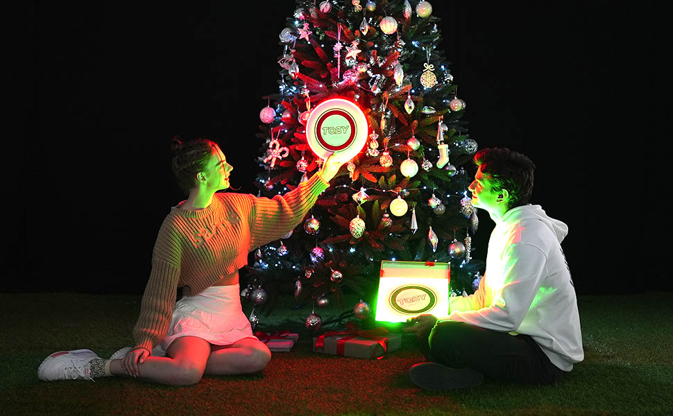 Chrismas Couple TOSY Frisbee 01