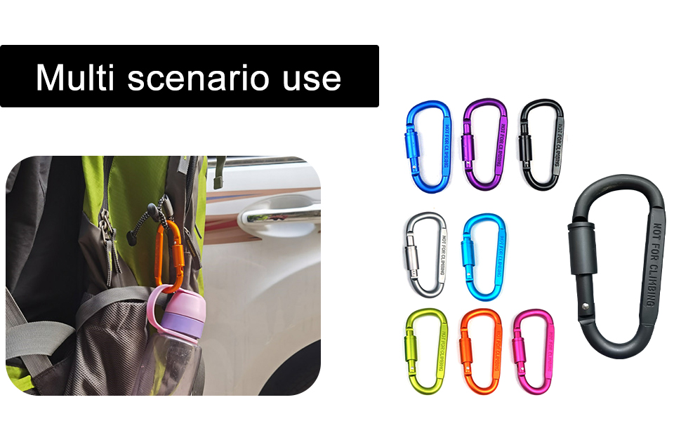 carabiner clip