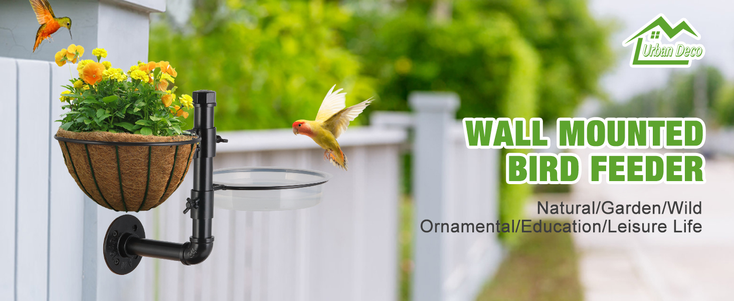 wall mounted bird feeder
