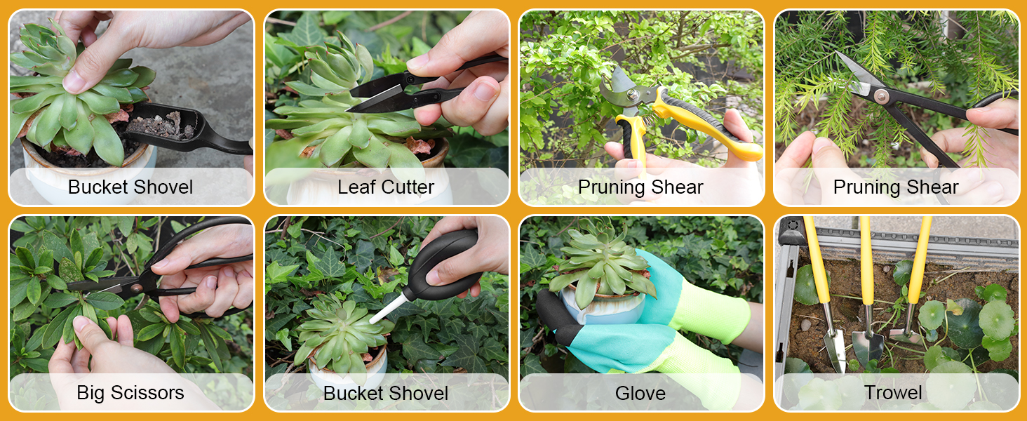Succulent Plant Tools Set
