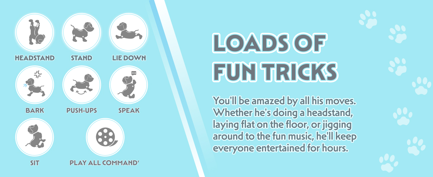 Tevo Robot Dog Remote Control Toy gift present for 3 4 5 6 7 8 9 10 11 12 year old cool age aged