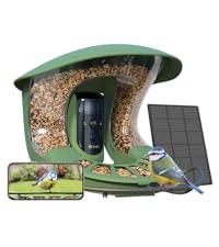 birdfy feeder 2 pro lite