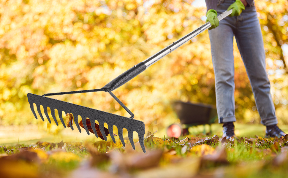 rake for leaves