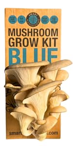 Blue mushroom grow kit