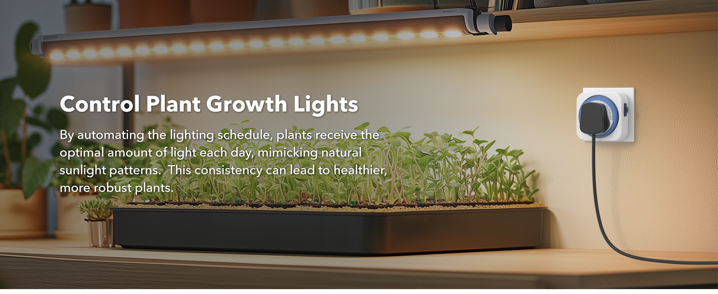 plug timer socket uk