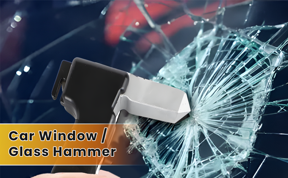 car handle mobility aid