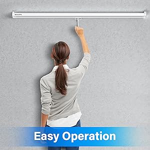 Projector Screen