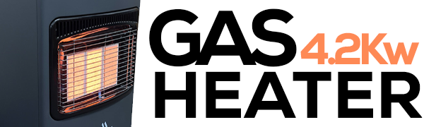 Portable Gas Heater For Indoor Outdoor 4.2KW