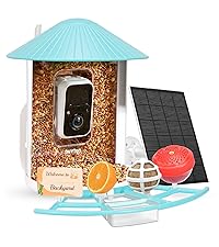 Birdfy Pro