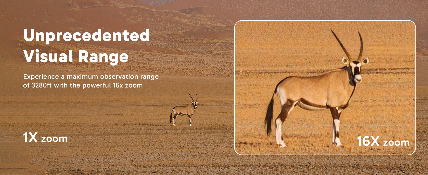 Unprecedented Visual Range