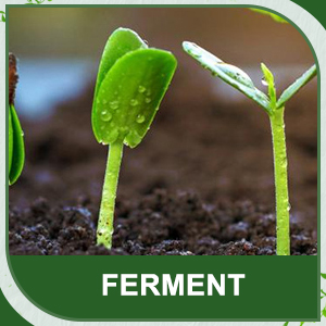 heat mat for plants