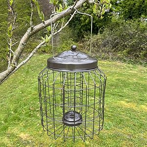 Squirrel proof feeder