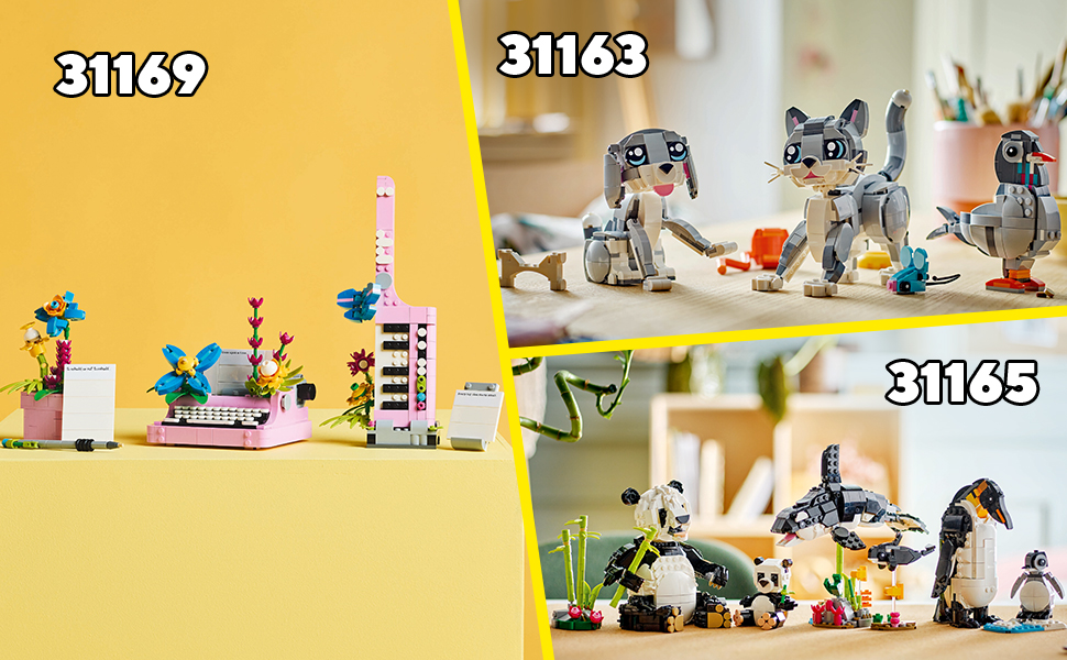 31162_CREATOR