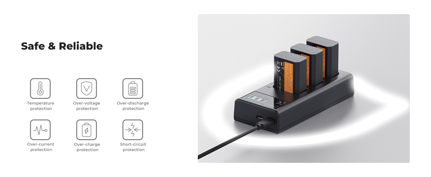 NP-FW50 Battery Charger