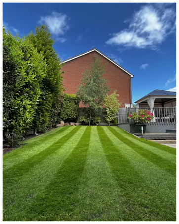 ColdPro for Fast Growing Winter Grass Seeds - Germinates with Low Soil Temperatures - Hard Weari...