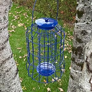 bird feeders