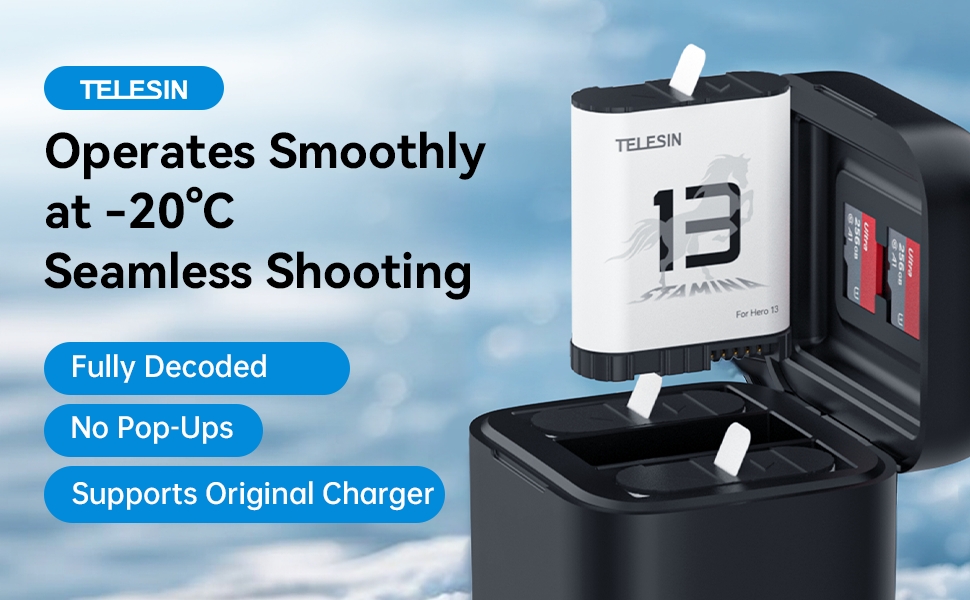 TELESIN Enduro Battery Charger for Go Pro 13