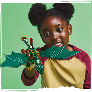 71829_NINJAGO