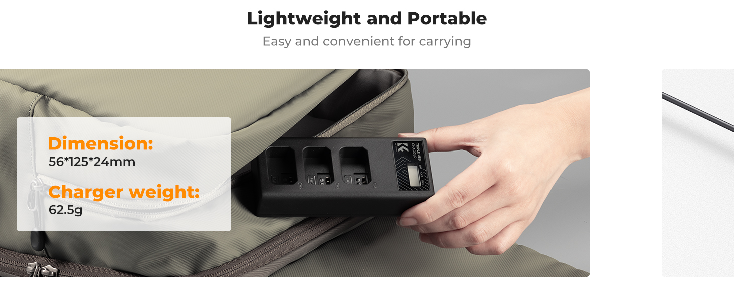 NP-FW50 Battery Charger 