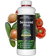 DrainAway Soil Improver for Lawns and Gardens - Improve Drainage - Non-Toxic - Garden Lawncare Guy