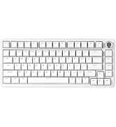 YUNZII B75 PRO Wireless Mechanical Keyboard,75% Gaming Keyboard Gasket Hot Swap Custom Keyboard w...