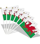 AhfuLife Welsh Flag Bunting 30pcs Flags for St David's Day, 10m Double Sided Wales Welsh Dragon B...