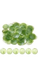 M METERXITY 100-Pack Round Shells Pieces, 50mm Flat Round Natural Shell Charm with Hole, Discs Se...