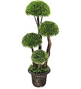 COSTWAY 182cm/6ft Artificial Olive Tree, 1/2 Pcs Tall Faux Topiary Plants with 1296 Leaves and 72...