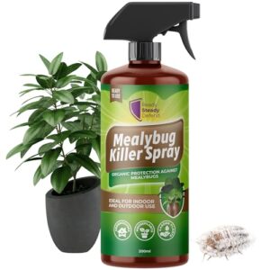 Mealybug Killer Spray 200ml - Bug Spray with Insecticidal Soap for Indoor Plants - Effective Plant Insecticide Spray to Target Mealybugs - Easy-to-Use House Plant Bug Killer Spray for Vibrant Growth