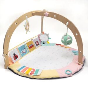 Oh My Baby Play Gym