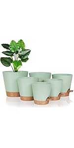 FORAGIFT Self-Watering Plant Pots Indoor, 20/17.5/16.5/15/14/12.5cm Plastic Flowerpots with Drain...