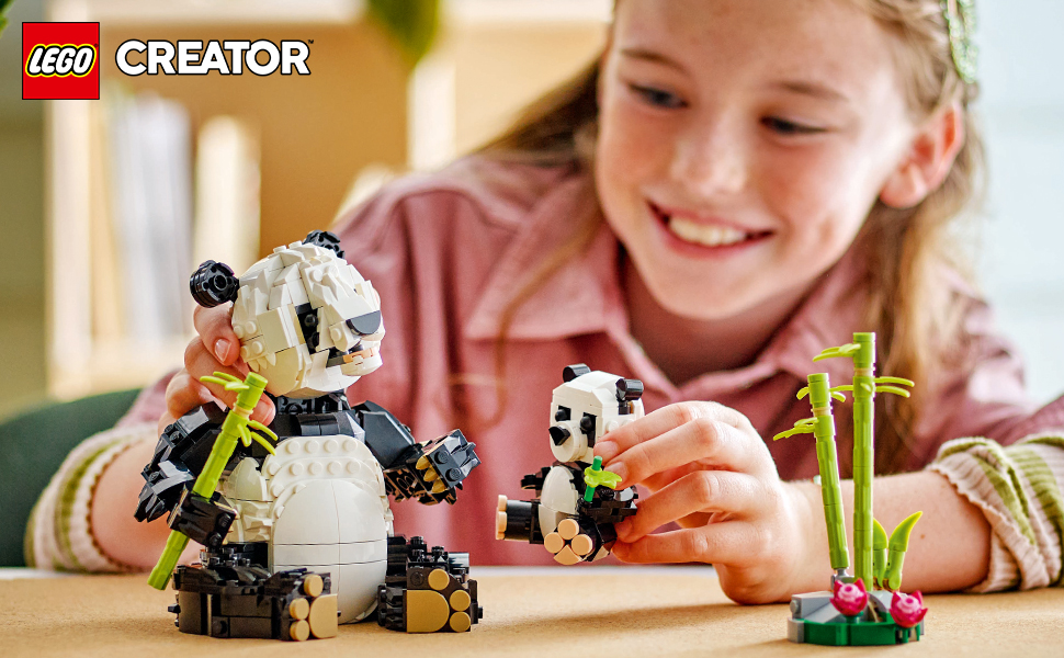 31165_CREATOR