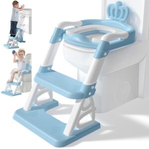 Potty Training Seat