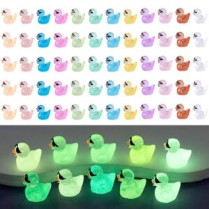 YALiya 60 Pcs Mini Resin Ducs
