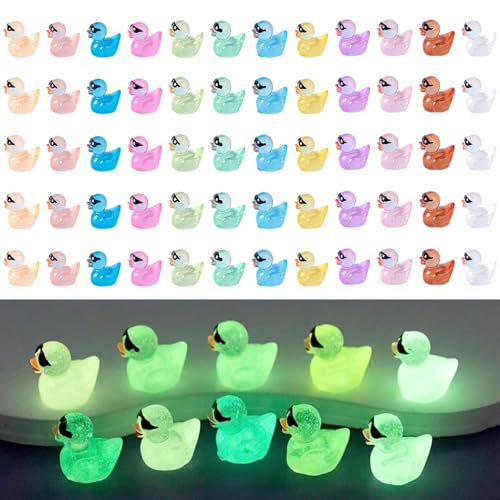 YALiya 60 Pcs Mini Resin Ducs