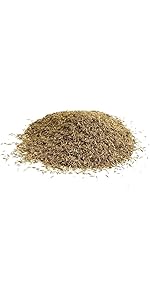 Shady Area Lawn 1Kg Seed Grass Shade (Covers 25 Square metres) LGH