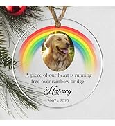 Robin Memorial Garden Grave Hanging Heart Wooden Heart Memorial Plaque with Robin Design - Rememb...