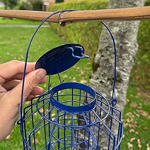 bird feeder