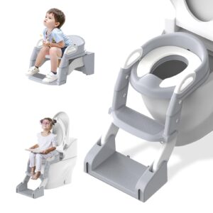 Potty Training Toilet Seat