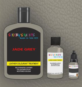 SCOOBYS PAINTS BACK IN THE MIX Leather Colourant Treatment Paint