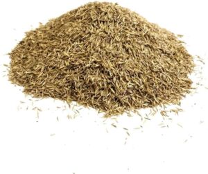 *New* Front Lawn Grass Seed 1Kg Ryegrass Free Fine (Covers 25 Square metres) LGH