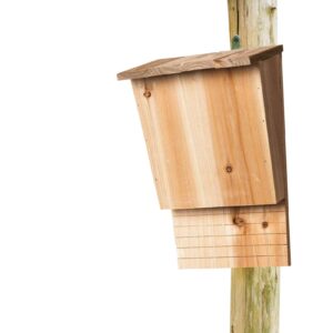 Wooden Bat Houses for Outdoor Use | Bat Boxes Made of Solid Portable | Weatherproof